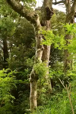 一畑薬師(島根県)