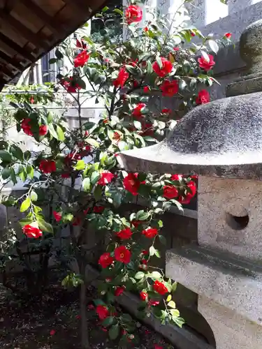 五條天神社のその他建物