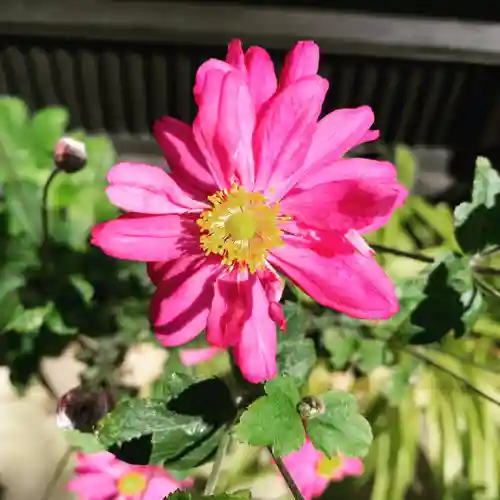 豊景神社の自然