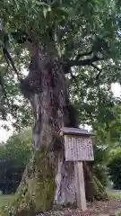 中山神社(岡山県)