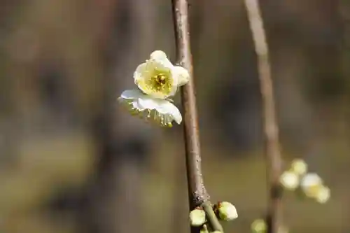 城南宮(京都府)