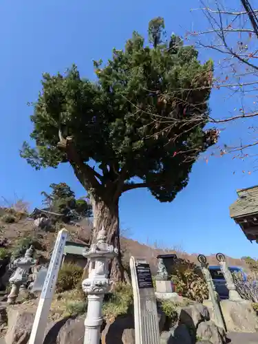 長谷寺(神奈川県)