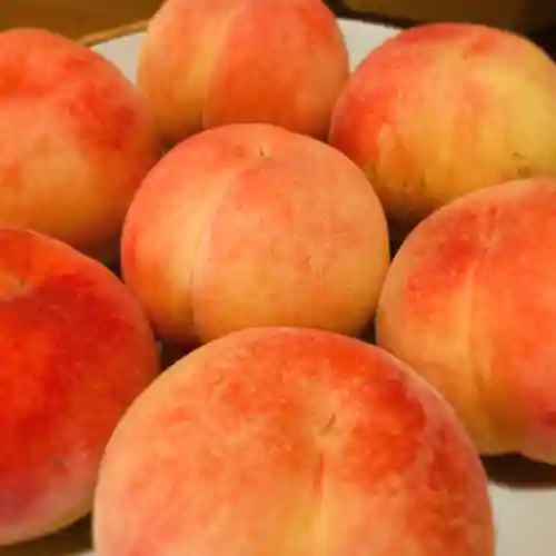 滑川神社 - 仕事と子どもの守り神の食事