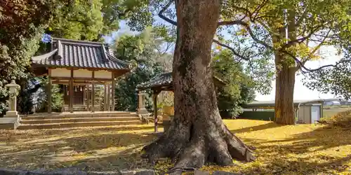 若宮八幡宮(京都府)