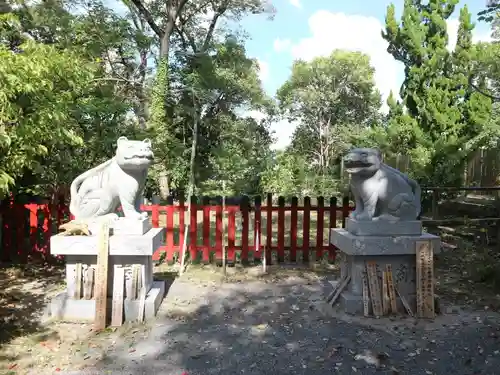 大江神社の狛犬