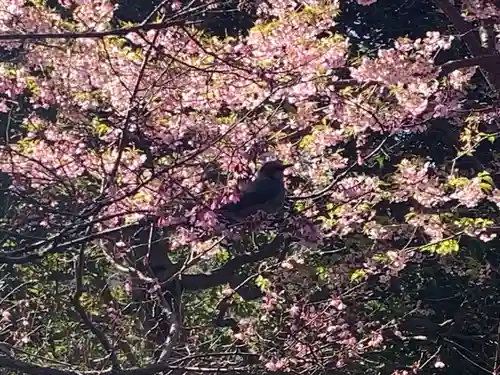 深大寺(東京都)