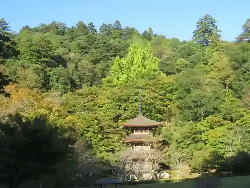 金剛院(京都府)
