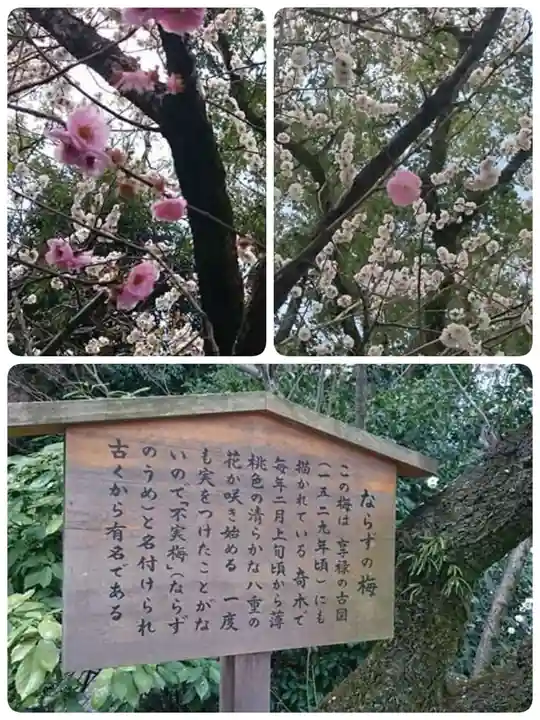 熱田神宮(愛知県)