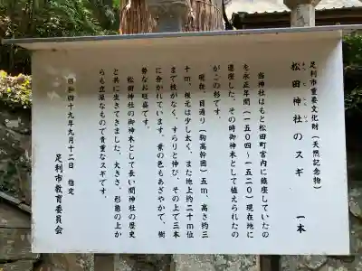 松田神社の{uncategorized: "未分類", other: "その他", undefined: "問題あり", building: "その他建物", grave: "お墓", sacred_gate: "鳥居", guardian: "狛犬", statue: "像", buddha: "仏像", history: "歴史", nature: "自然", garden: "庭園", animal: "動物", pagoda: "塔", temizu: "手水舎", mountain_gate: "山門・神門", sanctuary: "本殿・本堂", subordinate: "末社・摂社", art: "芸術", scenery: "景色", jizo: "地蔵", ema: "絵馬", goshuin: "御朱印", omikuji: "おみくじ", items: "授与品その他", amulet: "お守り", goshuincho: "御朱印帳", eats: "食事", festival: "お祭り", votive_dance: "神楽", shichigosan: "七五三参", wedding: "結婚式", experience: "体験その他", initially: "初詣", around: "周辺", anti_infection: "感染症対策"}