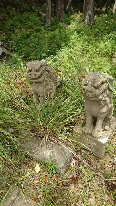 五十鈴神社の狛犬