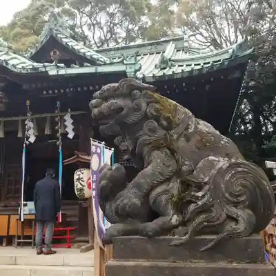 代々木八幡宮の狛犬
