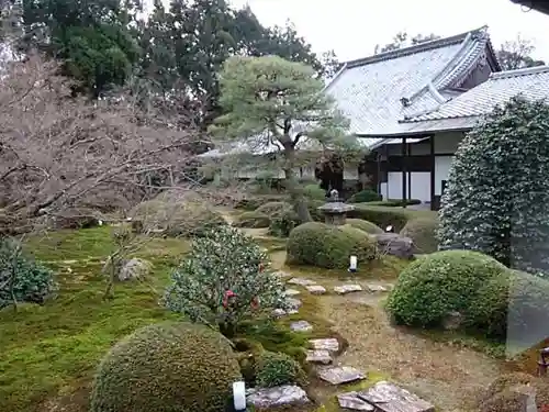 雲龍院の庭園