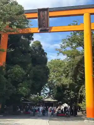 川越氷川神社(埼玉県)
