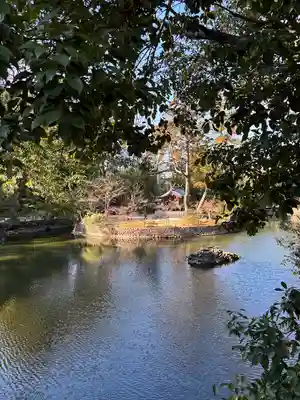 武蔵一宮氷川神社(埼玉県)