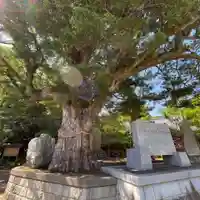 鶴谷八幡宮の自然