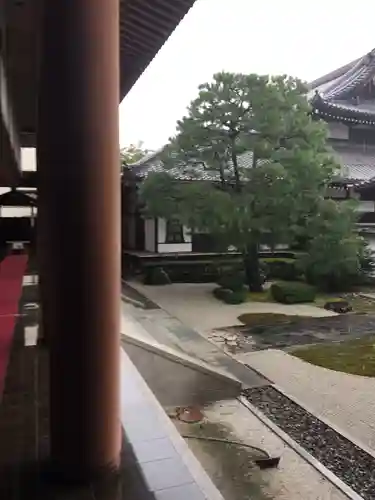 本法寺の庭園