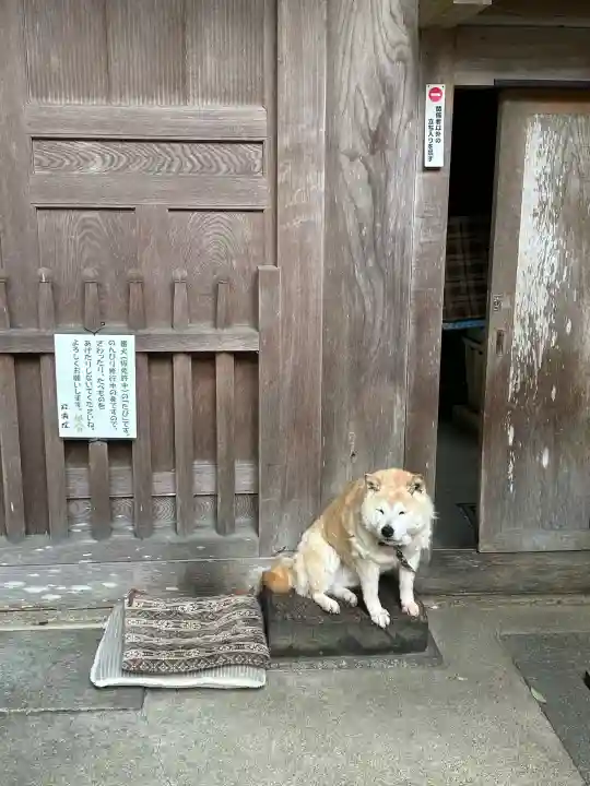 長谷寺(奈良県)