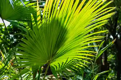 川平観音堂(沖縄県)