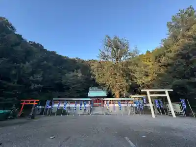 勝浦八幡神社(和歌山県)
