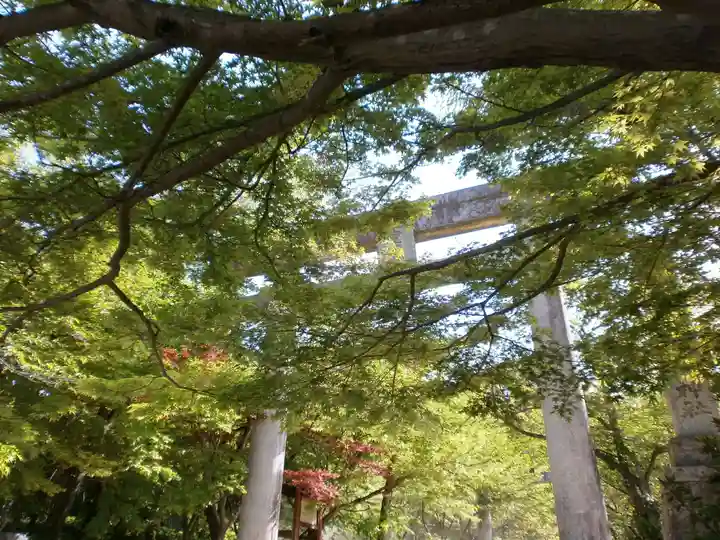 宝満宮竈門神社の鳥居
