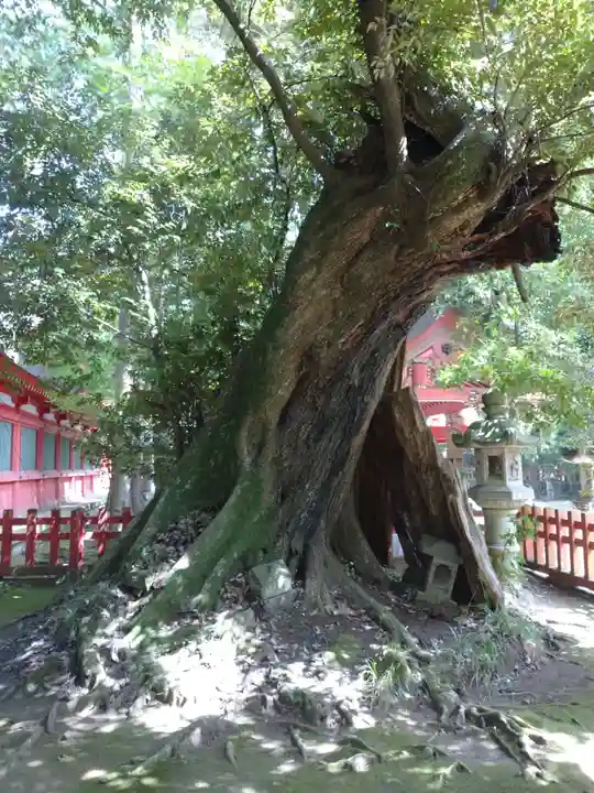 香取神宮の自然