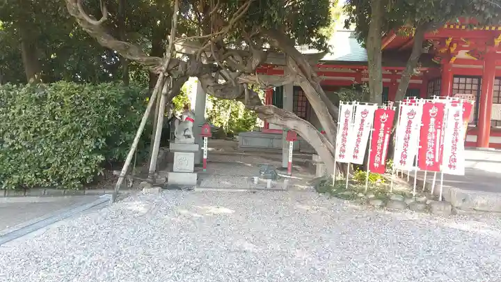 豊藤稲荷神社の自然