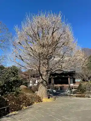高円寺(東京都)