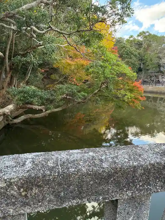 安房神社(千葉県)