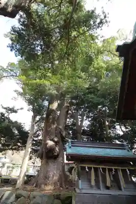 部田神社(静岡県)