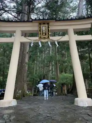 飛瀧神社（熊野那智大社別宮）の{uncategorized: "未分類", other: "その他", undefined: "問題あり", building: "その他建物", grave: "お墓", sacred_gate: "鳥居", guardian: "狛犬", statue: "像", buddha: "仏像", history: "歴史", nature: "自然", garden: "庭園", animal: "動物", pagoda: "塔", temizu: "手水舎", mountain_gate: "山門・神門", sanctuary: "本殿・本堂", subordinate: "末社・摂社", art: "芸術", scenery: "景色", jizo: "地蔵", ema: "絵馬", goshuin: "御朱印", omikuji: "おみくじ", items: "授与品その他", amulet: "お守り", goshuincho: "御朱印帳", eats: "食事", festival: "お祭り", votive_dance: "神楽", shichigosan: "七五三参", wedding: "結婚式", experience: "体験その他", initially: "初詣", around: "周辺", anti_infection: "感染症対策"}