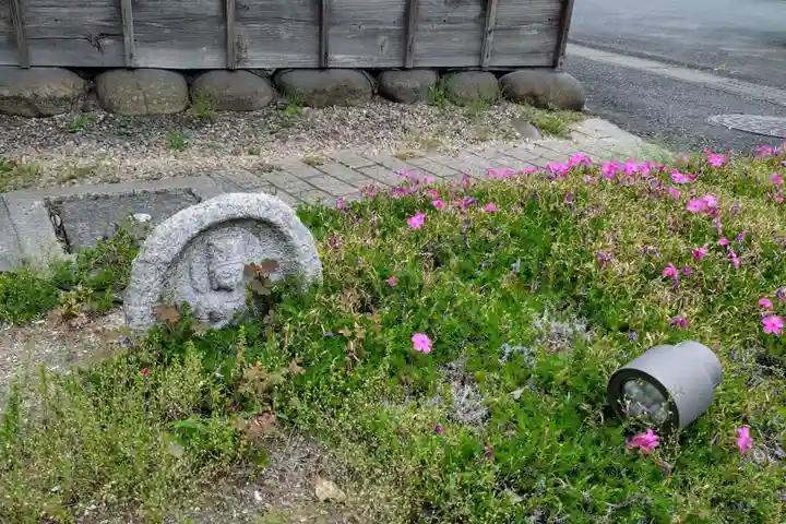 四季桜の寺 妙乗院(愛知県)