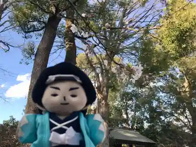 阿佐ヶ谷神明宮(東京都)