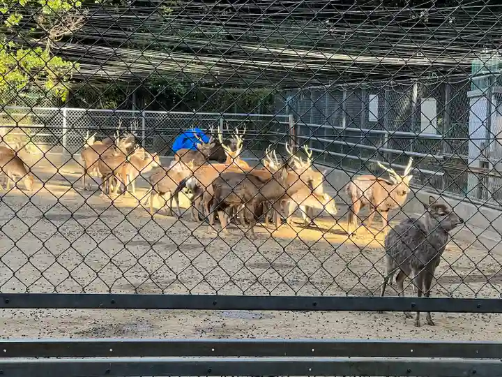 鹿島神宮(茨城県)