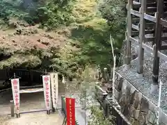 狸谷山不動院(京都府)