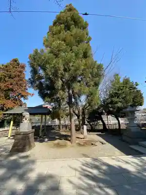 大沼神社(神奈川県)