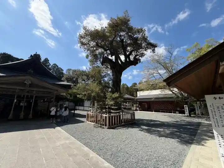 井伊谷宮の{uncategorized: "未分類", other: "その他", undefined: "問題あり", building: "その他建物", grave: "お墓", sacred_gate: "鳥居", guardian: "狛犬", statue: "像", buddha: "仏像", history: "歴史", nature: "自然", garden: "庭園", animal: "動物", pagoda: "塔", temizu: "手水舎", mountain_gate: "山門・神門", sanctuary: "本殿・本堂", subordinate: "末社・摂社", art: "芸術", scenery: "景色", jizo: "地蔵", ema: "絵馬", goshuin: "御朱印", omikuji: "おみくじ", items: "授与品その他", amulet: "お守り", goshuincho: "御朱印帳", eats: "食事", festival: "お祭り", votive_dance: "神楽", shichigosan: "七五三参", wedding: "結婚式", experience: "体験その他", initially: "初詣", around: "周辺", anti_infection: "感染症対策"}