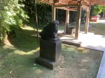 富岡八幡宮の狛犬
