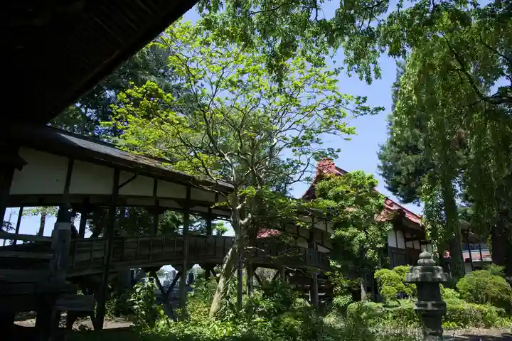 崇真寺(開運犬り切不動尊)(栃木県)