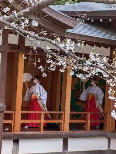阿佐ヶ谷神明宮(東京都)