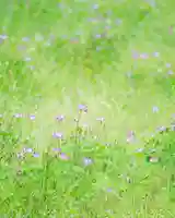 浄土寺(兵庫県)