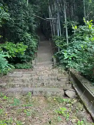 伊加奈志神社の自然