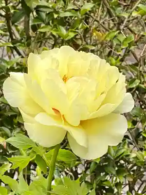 湯神社(岡山県)