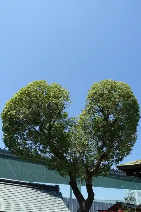 南宮宇佐八幡神社(脇浜神社)の自然