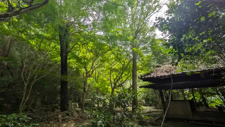延仁寺(京都府)