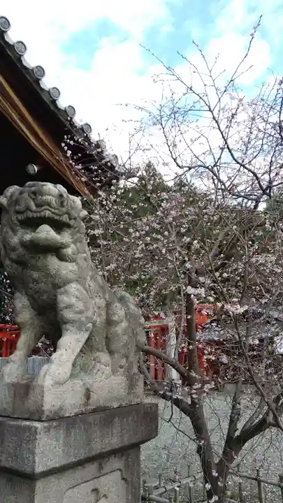 白山神社(木曽川町黒田)の狛犬