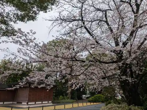 阿佐ヶ谷神明宮(東京都)