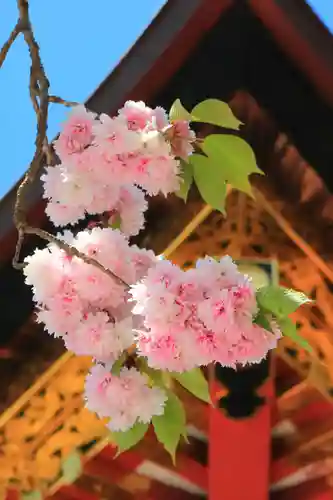 志波彦神社・鹽竈神社の自然