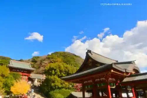 鶴岡八幡宮の景色