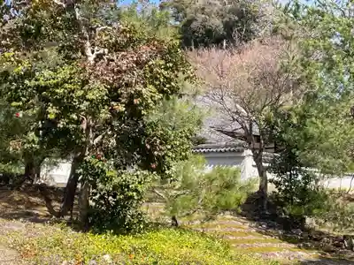 妙光寺(京都府)