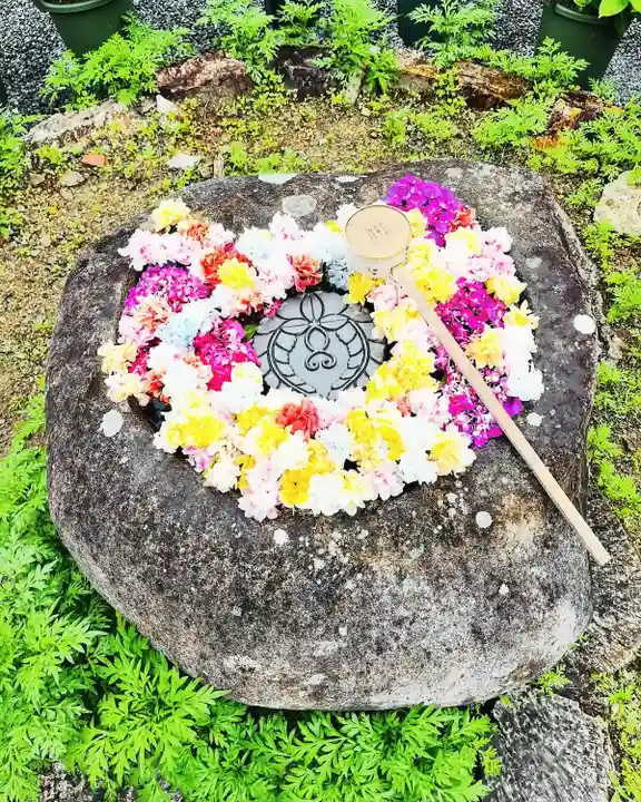 柳谷観音 楊谷寺(京都府)